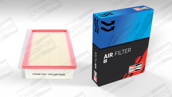 Air Filter (CAF100762P)