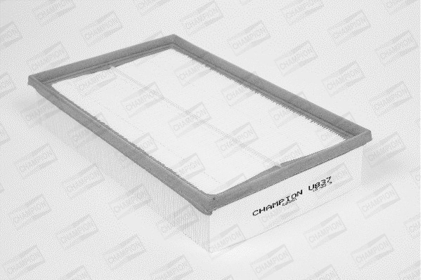 Air Filter (U837/606)