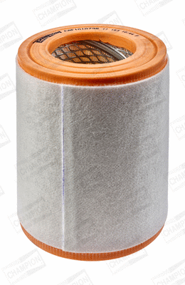 Air Filter (CAF101079R)