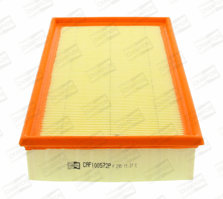 Air Filter (CAF100572P)