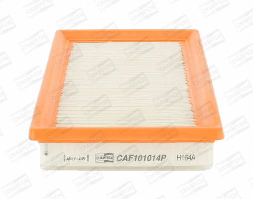 Air Filter (CAF101014P)