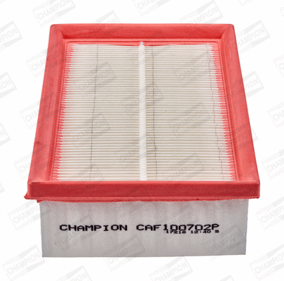 Air Filter (CAF100702P)