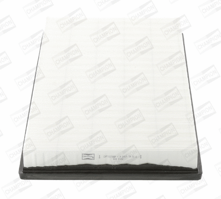 Air Filter (CAF100788P)