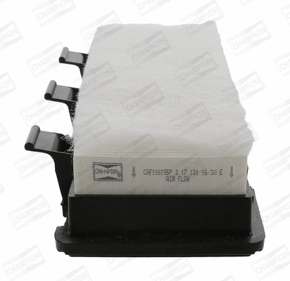 Air Filter (CAF100705P)