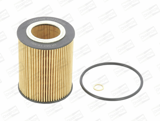 Oil Filter (COF100504E)