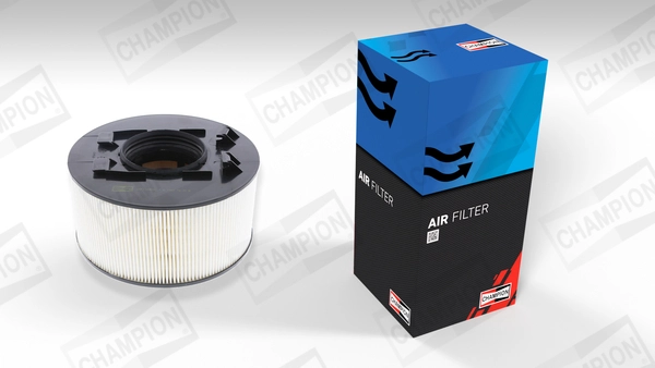 Air Filter (CAF100459C)