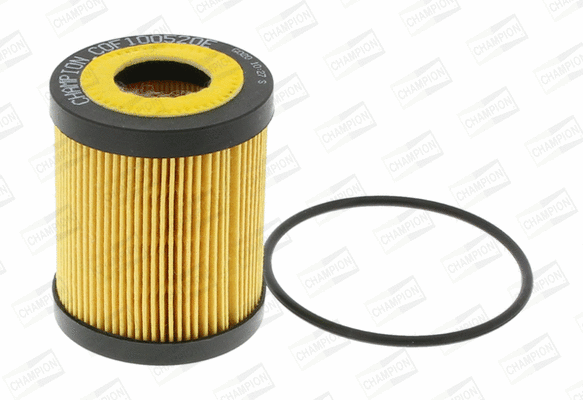 Oil Filter (COF100520E)