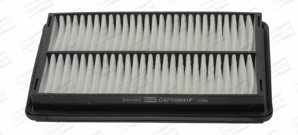 Air Filter (CAF100841P)