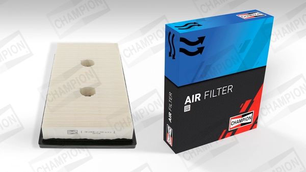 Air Filter (CAF100869P)