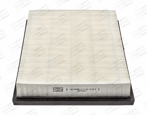 Air Filter (CAF100928P)