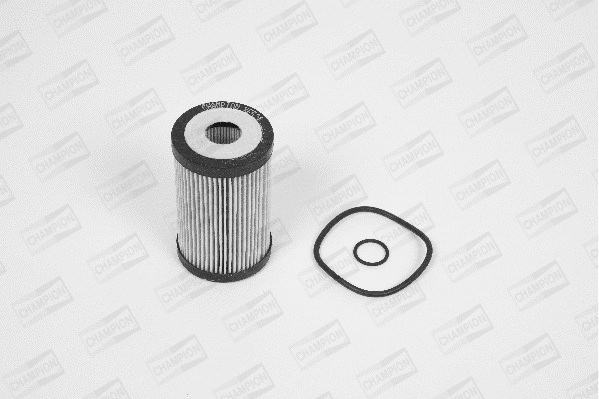 Oil Filter (XE521/606)