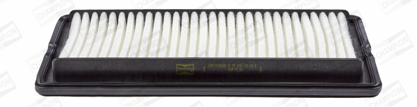 Air Filter (CAF100824P)