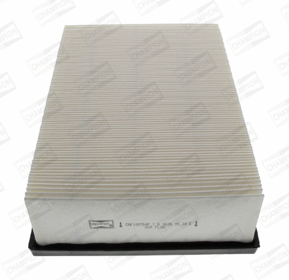 Air Filter (CAF100754P)
