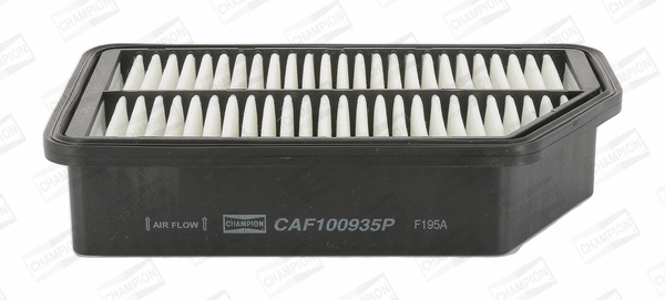 Air Filter (CAF100935P)