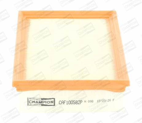 Air Filter (CAF100582P)