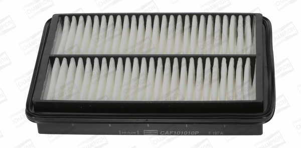 Air Filter (CAF101010P)