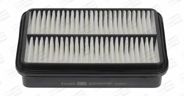 Air Filter (CAF101115P)