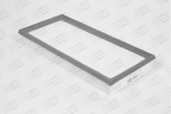 Air Filter (U789/606)