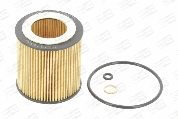 Oil Filter (COF100571E)