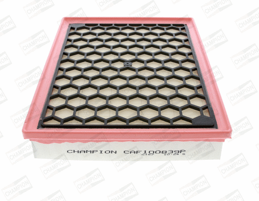 Air Filter (CAF100839P)