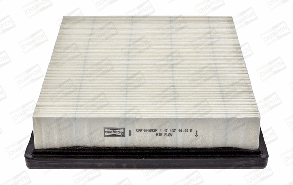 Air Filter (CAF101092P)