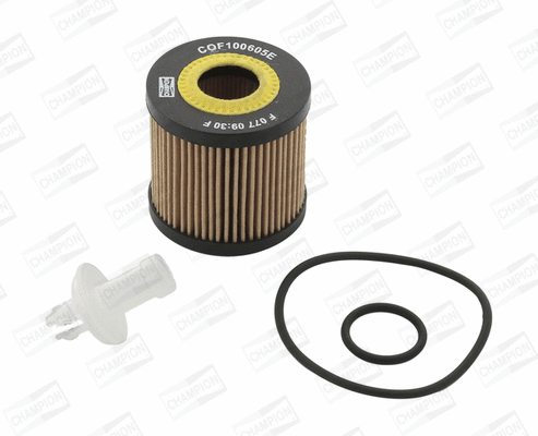 Oil Filter (COF100605E)