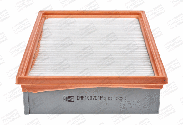 Air Filter (CAF100761P)