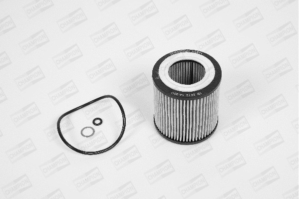 Oil Filter (XE571/606)