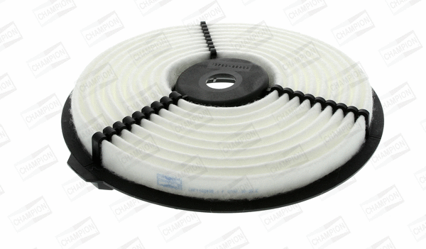 Air Filter (CAF100249R)