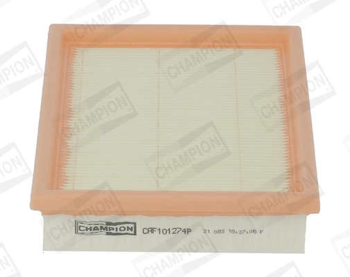 Air Filter (CAF101274P)