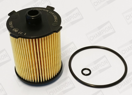 Oil Filter (COF100804E)