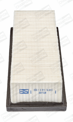 Air Filter (CAF100533P)