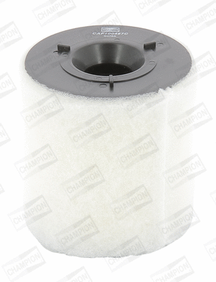 Air Filter (CAF100487C)