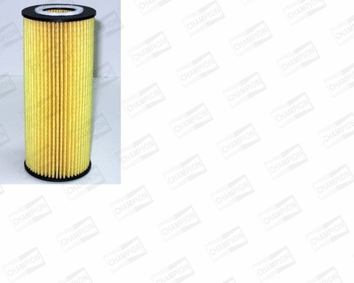 Oil Filter (XE549/606)