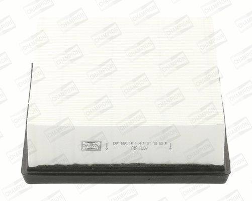 Air Filter (CAF100641P)