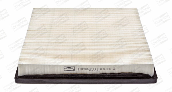 Air Filter (CAF100544P)