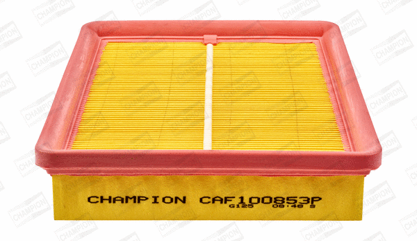 Air Filter (CAF100853P)
