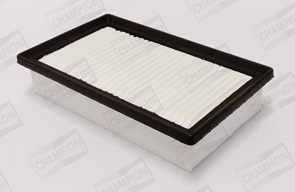 Air Filter (CAF101214P)