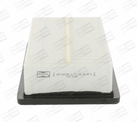 Air Filter (CAF100535P)