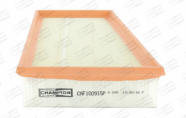 Air Filter (CAF100915P)