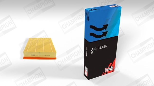 Air Filter (CAF100871P)