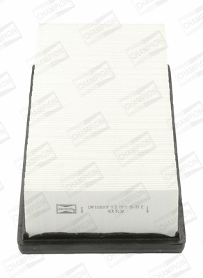 Air Filter (CAF100501P)