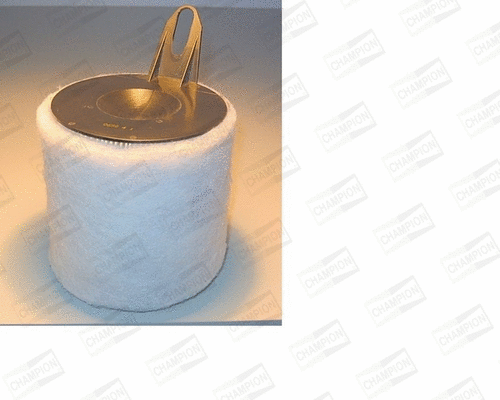 Air Filter (V458/606)