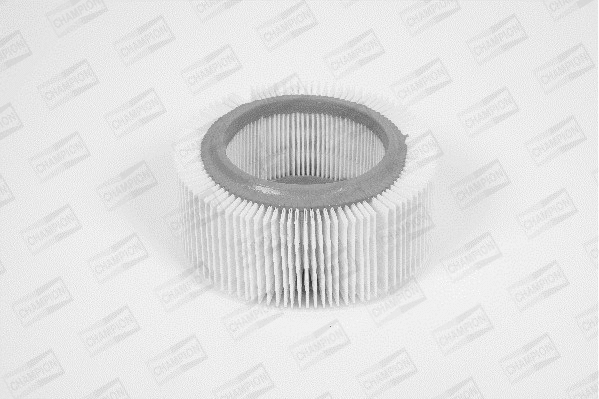 Air Filter (W205/606)