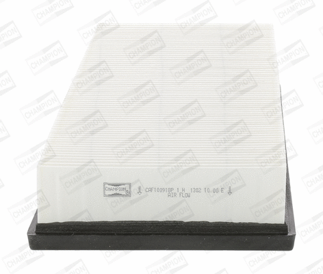 Air Filter (CAF100918P)