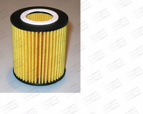 Oil Filter (XE544/606)