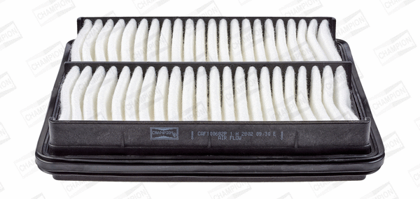 Air Filter (CAF100682P)