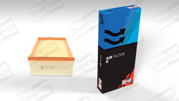 Air Filter (CAF100708P)