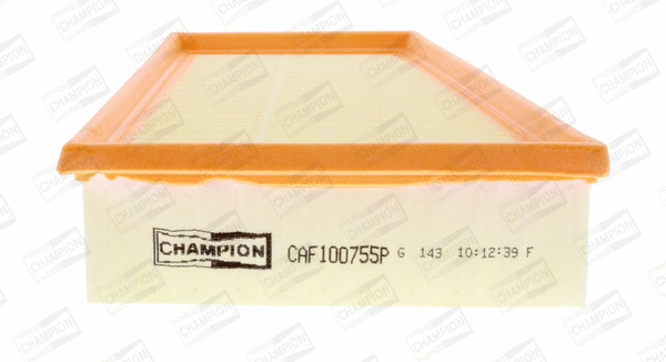 Air Filter (CAF100755P)
