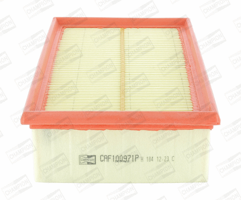 Air Filter (CAF100971P)